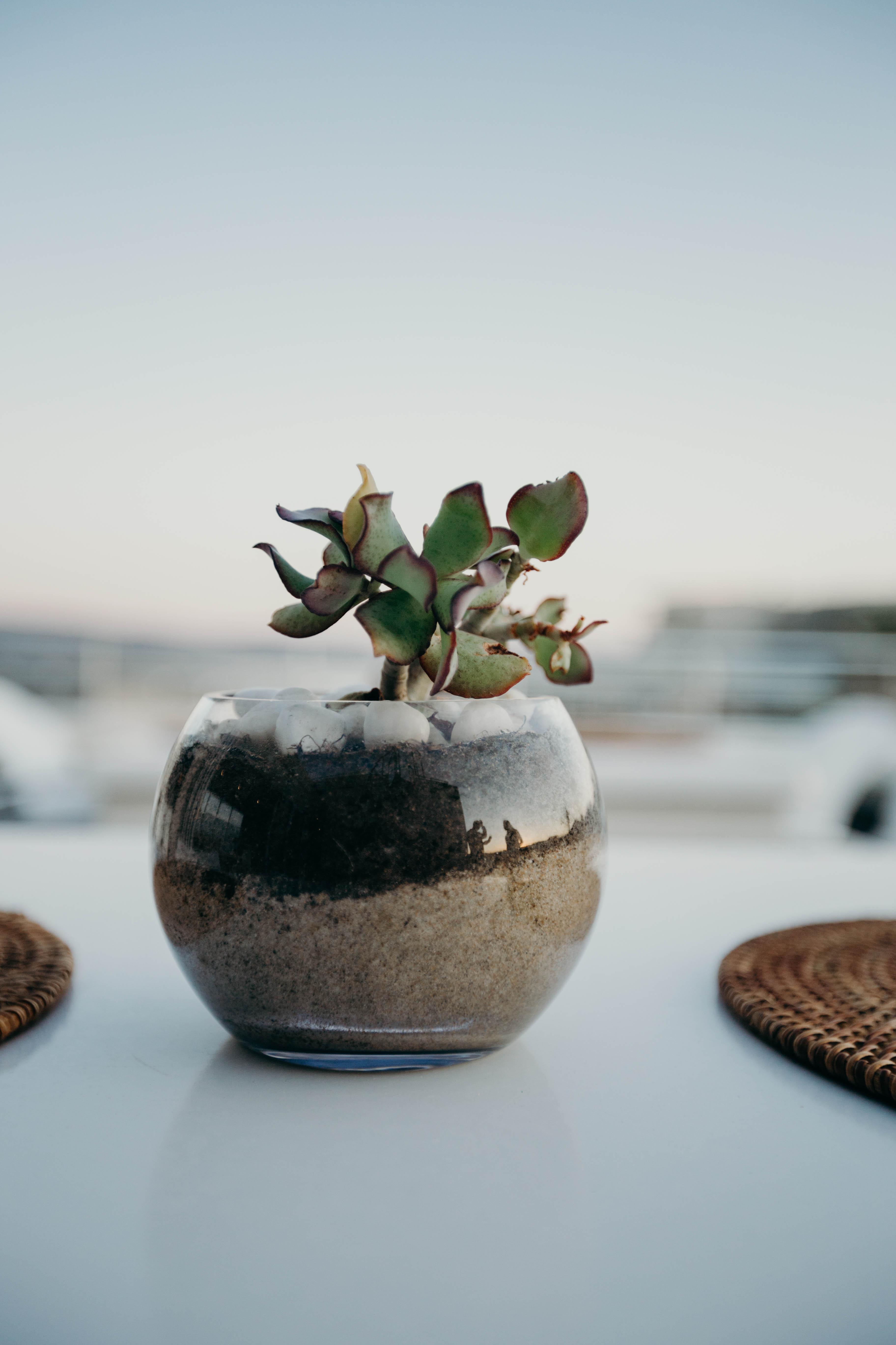 The Robberg Beach Lodge - Lion Roars Hotels & Lodges Plettenberg Bay Exterior photo